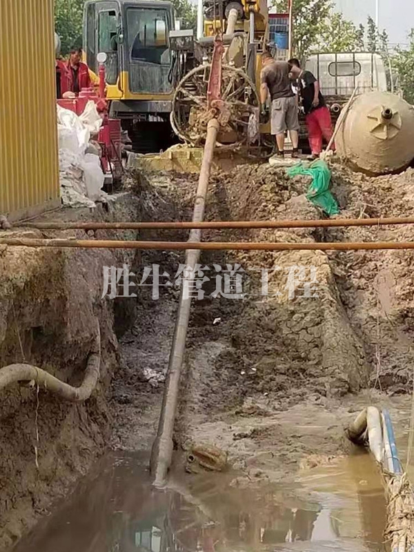 好色先生软件APP服务质量如何